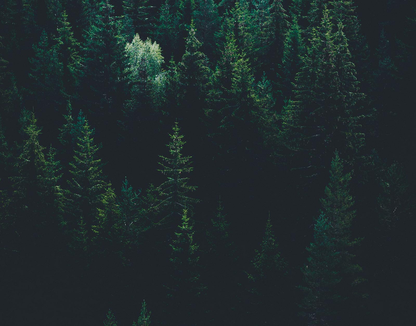 Desing thinking y assessment